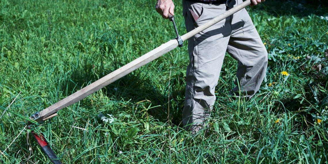Yard Work Help For Seniors